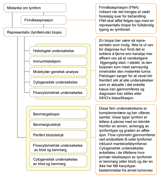 skjematisk oversikt utredning lymfom hos barn
